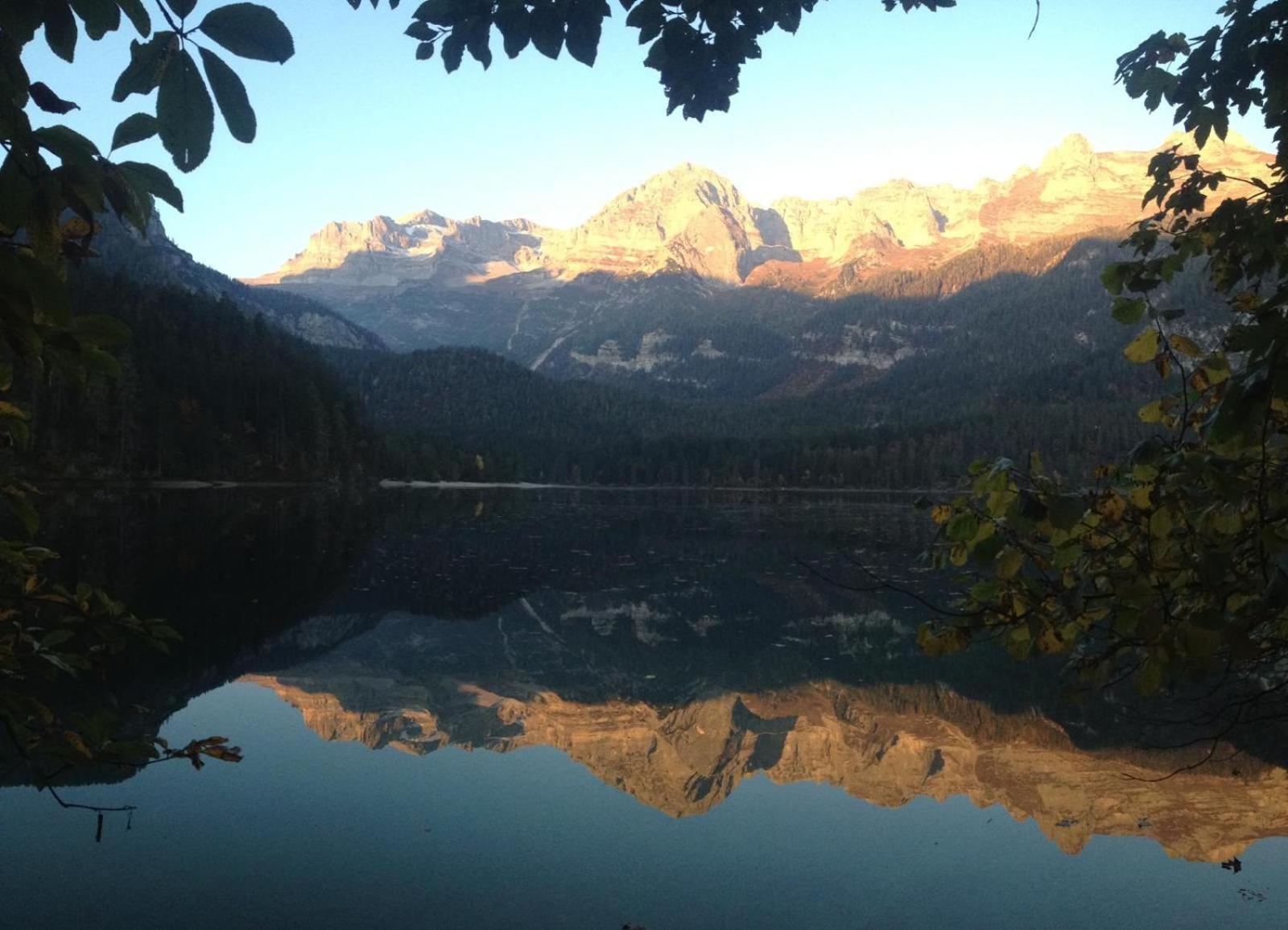 Brenta Luxury Chalet Sporminore Dış mekan fotoğraf