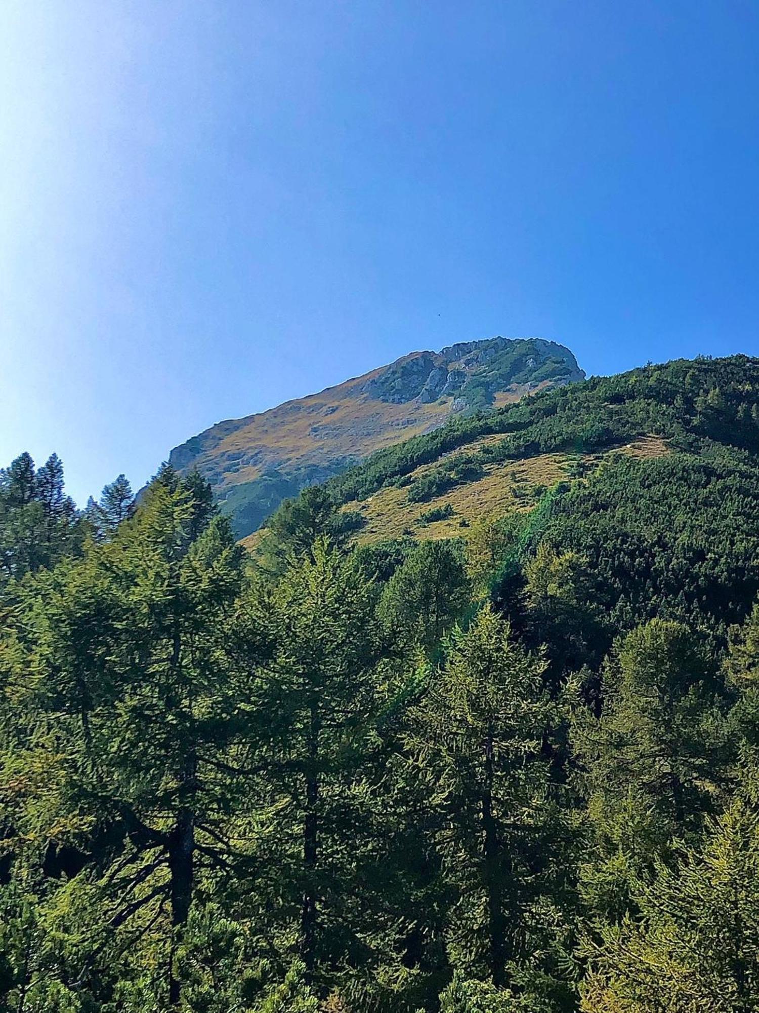 Brenta Luxury Chalet Sporminore Dış mekan fotoğraf