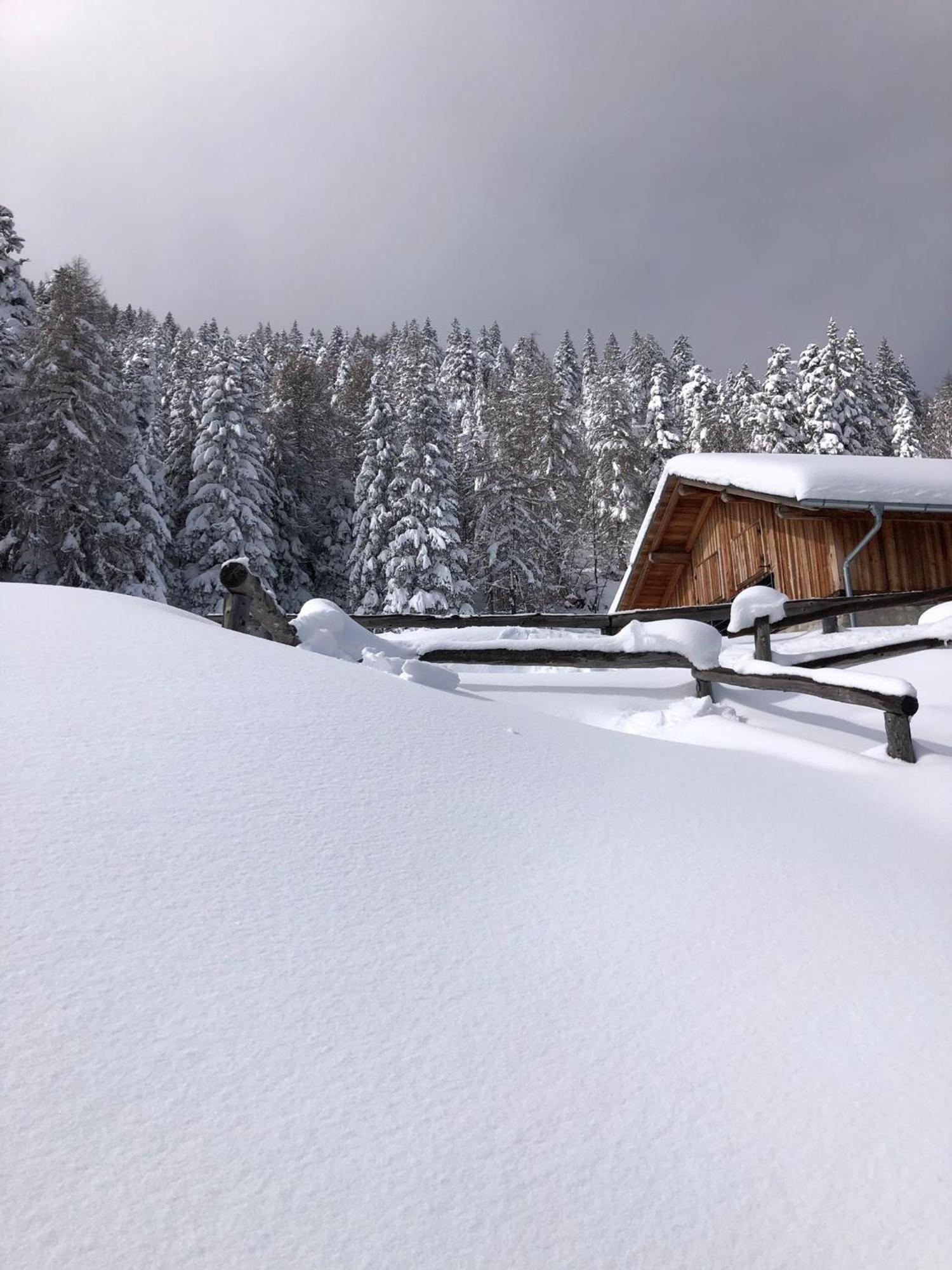 Brenta Luxury Chalet Sporminore Dış mekan fotoğraf